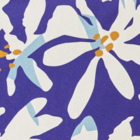 LYNN BLUE PLUMERIA